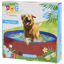 piscina per cani usato  Due Carrare