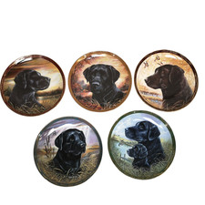 Royal doulton franklin for sale  WELLINGBOROUGH