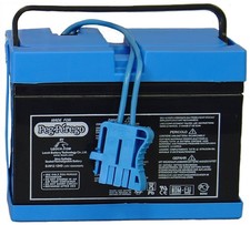 Genuine oem peg d'occasion  Expédié en Belgium