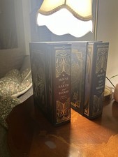 Crescent city fairyloot gebraucht kaufen  Pfaffenhofen a.d.Ilm