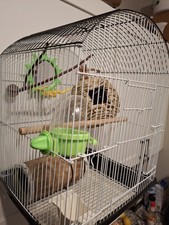 Small parakeet wire for sale  Manvel