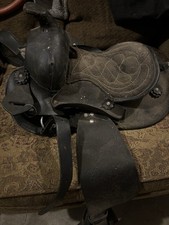 Children western pony for sale  North Brookfield