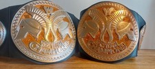 Wwe tag team for sale  CONSETT