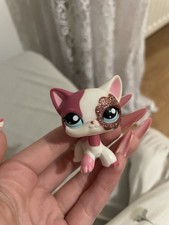 lps shorthair Littlest Pet Shop Hasbro #2291 na sprzedaż  PL