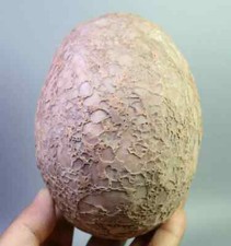 Segnosaur dinosaur egg for sale  Shipping to United States