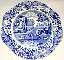 Vintage copeland spode for sale  BRIDGEND