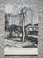 Californian trees mishmar for sale Californian trees mishmar for sale  STAFFORD