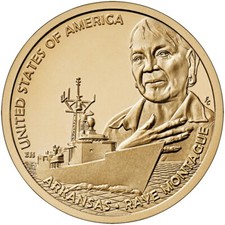 Usa dollaro 2025 usato  San Cassiano