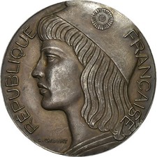 Médaille député assemblée d'occasion  Lille-