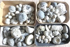 Mineralien & Fossilien gebraucht kaufen  Hof