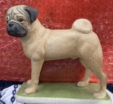 Dlm pug standing for sale  HARLOW
