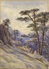 Arthur herbert hussey for sale  SALISBURY