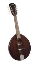 Kentucky string mandolin for sale  USA