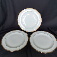 Assiettes plates porcelaine d'occasion  Châteaudun