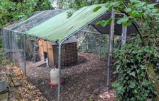 Metal chicken run for sale  SEVENOAKS