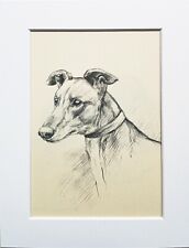 Greyhound dog vintage for sale  NORWICH