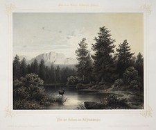 Gosausee tuiles béton d'occasion  Expédié en France