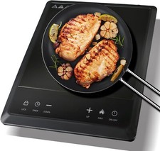 Portable induction cooktop for sale  Houston