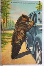 Cartão postal antigo vintage com vista para cartão lembrança padrão Parque Nacional de Yellowstone comprar usado  Enviando para Brazil