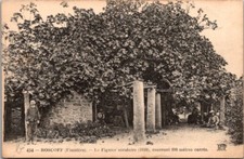 62640 postcard roscoff d'occasion  Expédié en Belgium