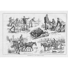 Preparations day coursing for sale  GLASGOW