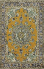 Traditional beauty orange for sale  Charlotte
