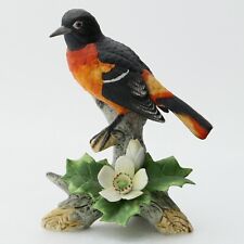 Andrea baltimore oriole for sale  Hastings