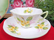 Shelley tea cup for sale  Macomb