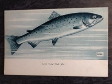 Illustrated signed raoul d'occasion  Expédié en Belgium