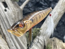 Usado, Isca Popper Popmax Topwater estilo 3,54 polegadas 0,5 oz MB “Bad Attitude Smallmouth” comprar usado  Enviando para Brazil