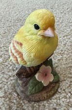 Canary andrea 1985 for sale  Glencoe