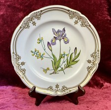 Lovely spode bone for sale  CARDIFF