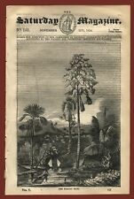 The saturday magazine usato  Vanzaghello