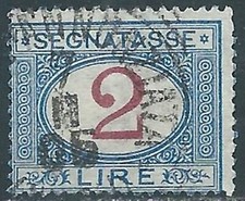 1903 REGNO SEGNATASSE USATO 2 LIRE - RE31-2 comprar usado  Enviando para Brazil