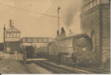 Railways 1962 pines for sale  KENILWORTH