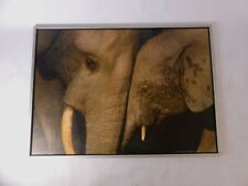 Kunstdruck fotodruck bild gebraucht kaufen  Krefeld