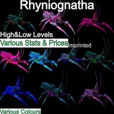 Ark Survival Ascended PvE Compre Rhyniognatha / Rhynio Várias Cores e Estatísticas comprar usado  Enviando para Brazil