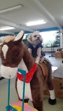 Plüschpferd zum reiten gebraucht kaufen  Aschersleben