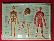 Tavole rilievo corpo usato  Paterno