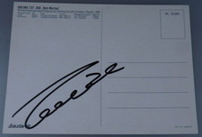Riginal autogramm niki gebraucht kaufen  Deutschland