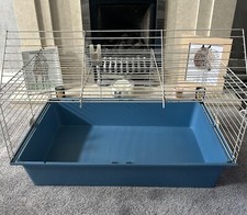 Guinea pig rabbit for sale  LANARK