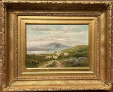sheep painting for sale  NUNEATON