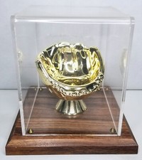 Gold glove baseball for sale  Murrysville