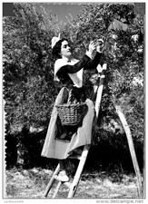 Salon provence mireille d'occasion Salon provence mireille d'occasion  France