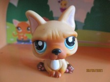 Petshop french bulldog d'occasion  Expédié en Belgium