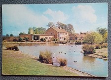 wildfowl for sale wildfowl for sale THETFORD