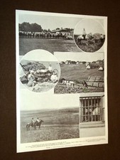 Russia 1906 agitazione usato  Villarosa
