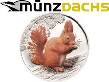 Dollar rotes eichhörnchen gebraucht kaufen  Mainz