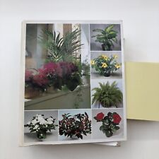 Zimmerpflanzen rdner 95 gebraucht kaufen  Adendorf