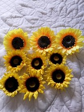 sunflower heads for sale sunflower heads for sale BRECON